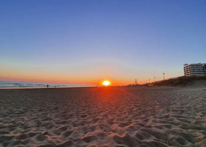 Hébergement de vacances Maison Avec Piscine Chauffée, Terrasse Et Parking à 300m De L'océan - Fr-1-224c-219 Saint-Hilaire-de-Riez
